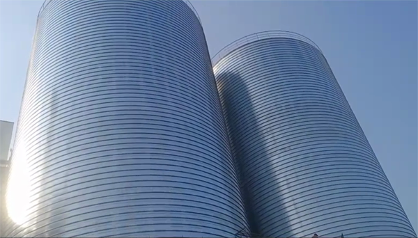 德州2座混凝土高架卷板仓